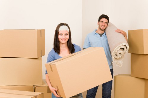 Man and van facilitating storage solutions