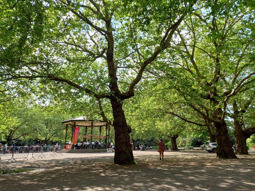 A park scene featuring large, mature trees with wide trunks and lush green foliage providing shade over an open area. In the background, there is a small bandstand or pavilion with a red banner and a